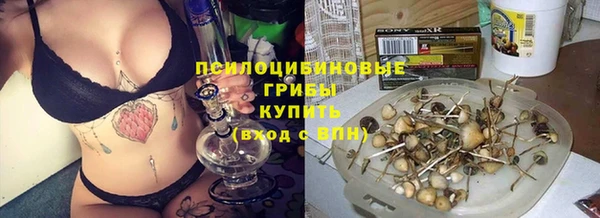круглые Няндома