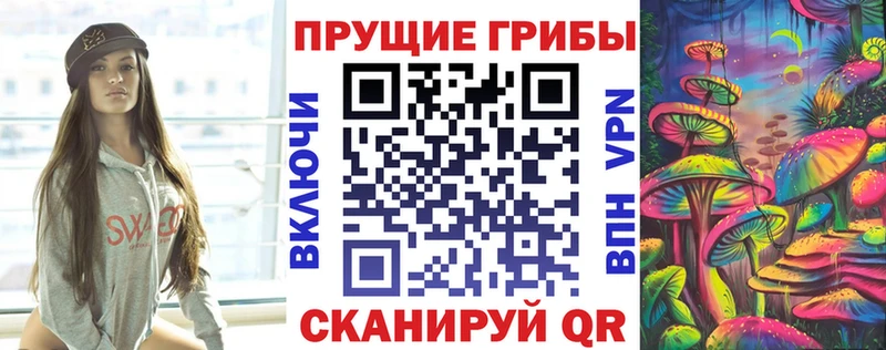 Псилоцибиновые грибы Cubensis купить закладку Светогорск