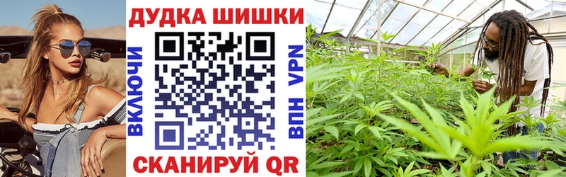 Бошки Шишки конопля  Светогорск 